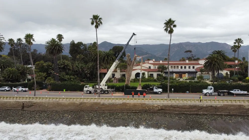 Reliable lawn care service with custom design in Santa Barbara, CA by Progressive Environmental Industries