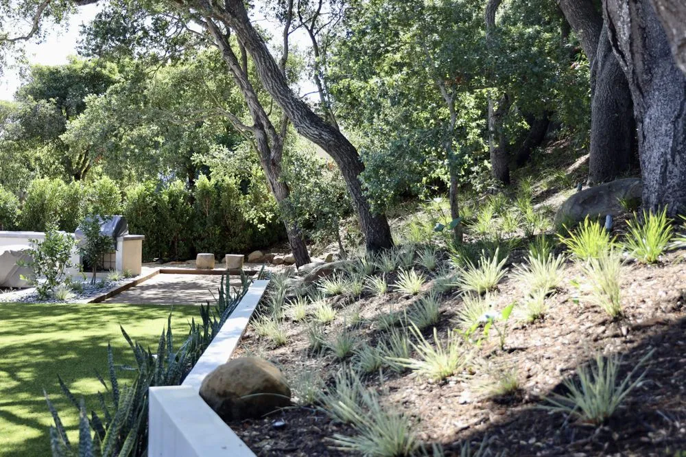 Custom landscaping services in Santa Barbara, CA by Progressive Environmental Industries