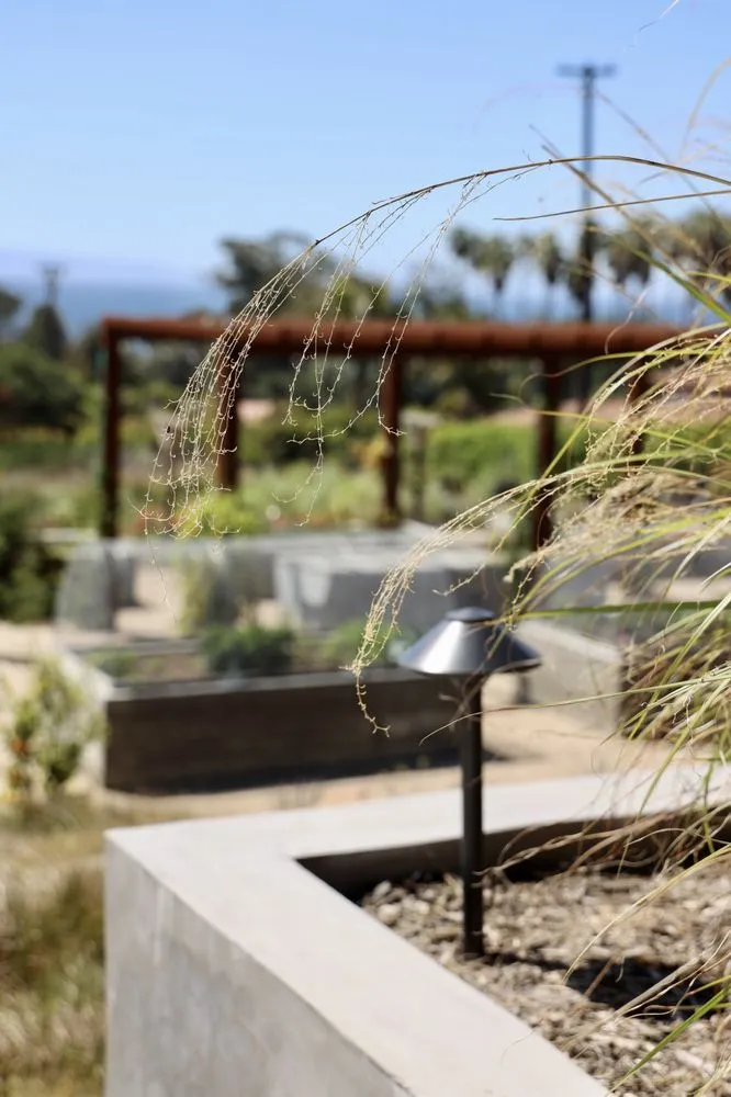 Top-rated yard cleanup service in Santa Barbara, CA by Progressive Environmental Industries