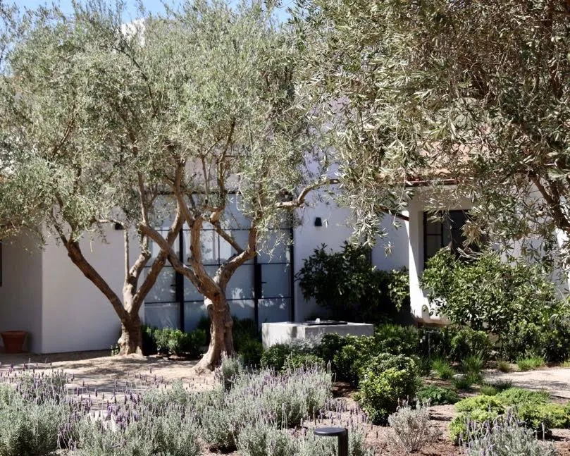 Top-rated landscape installation in Santa Barbara, CA by Progressive Environmental Industries