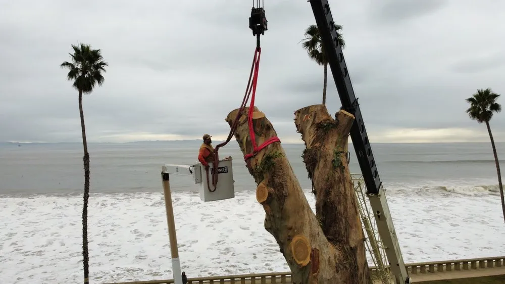 Professional lawn mowing service for beautiful yards in Santa Barbara, CA by Progressive Environmental Industries