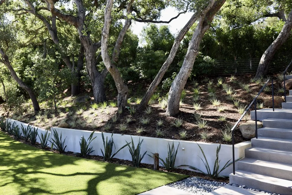 Custom landscaping services near you in Santa Barbara, CA by Progressive Environmental Industries