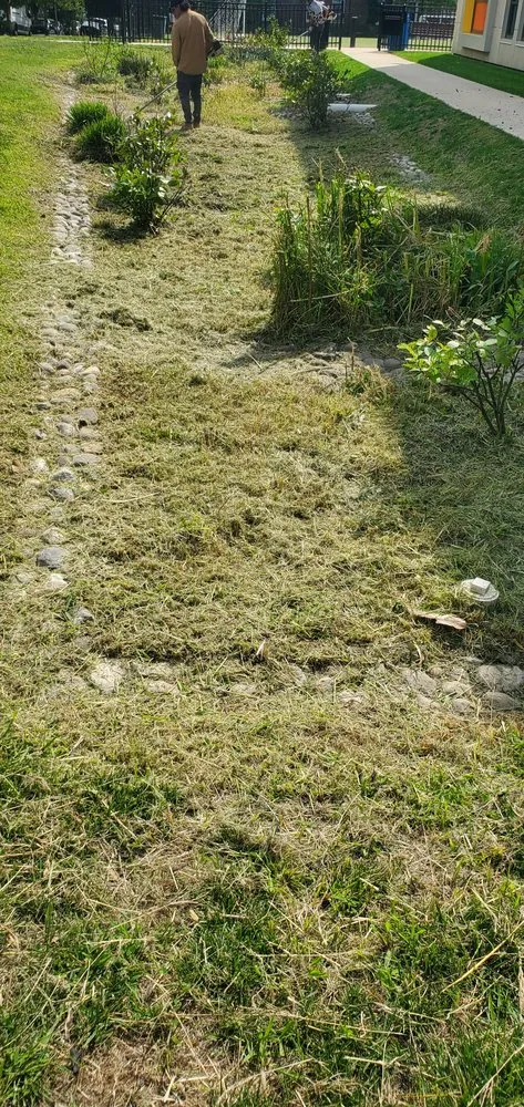 Professional outdoor landscaping in Damascus, MD by Progressive General Landscaping