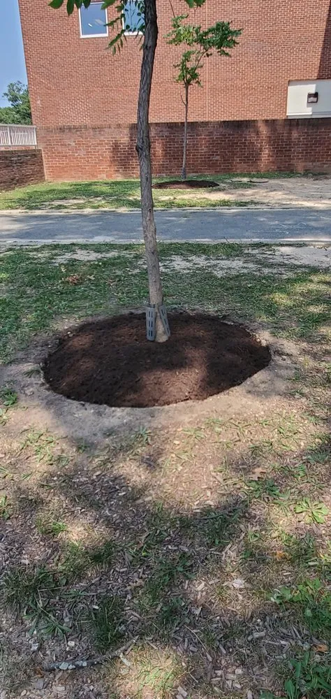 Professional garden landscaping experts serving Damascus, MD - Progressive General Landscaping