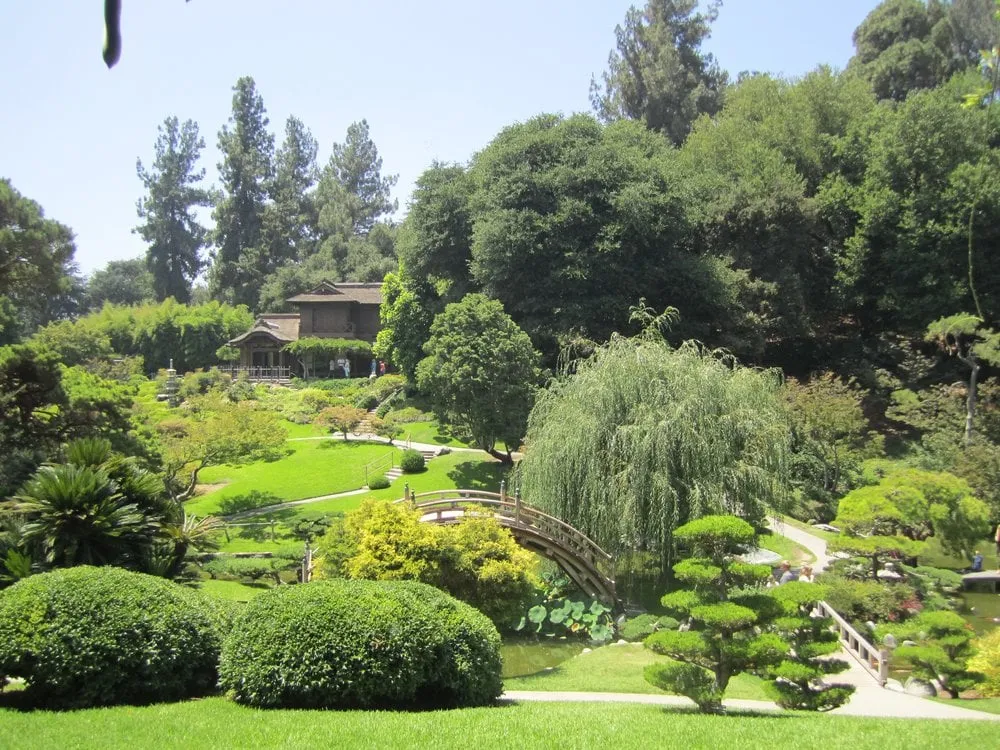 Custom lawn care service experts serving Damascus, MD - Progressive General Landscaping