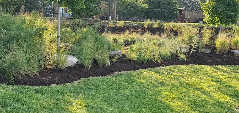 Top-rated yard maintenance in Damascus, MD - Progressive General Landscaping