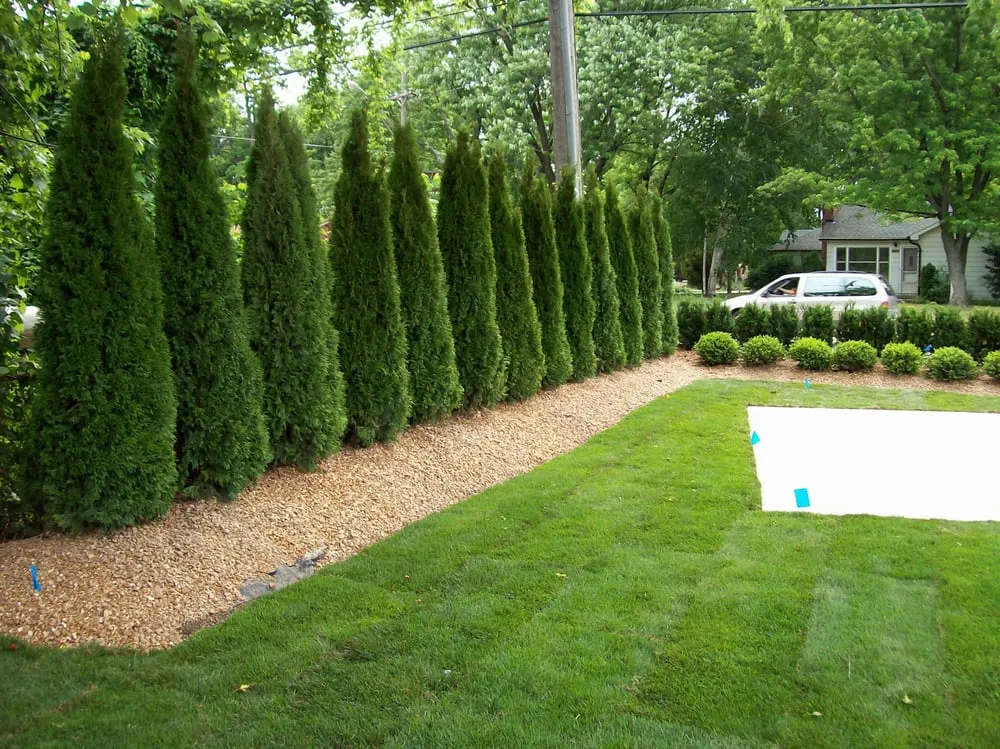 Top-rated landscape installation for residential properties in Clarkston, MI by Progressive Irrigation