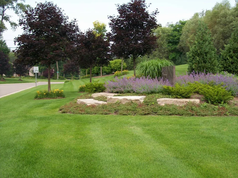 Top-rated yard cleanup service for beautiful yards in Clarkston, MI by Progressive Irrigation