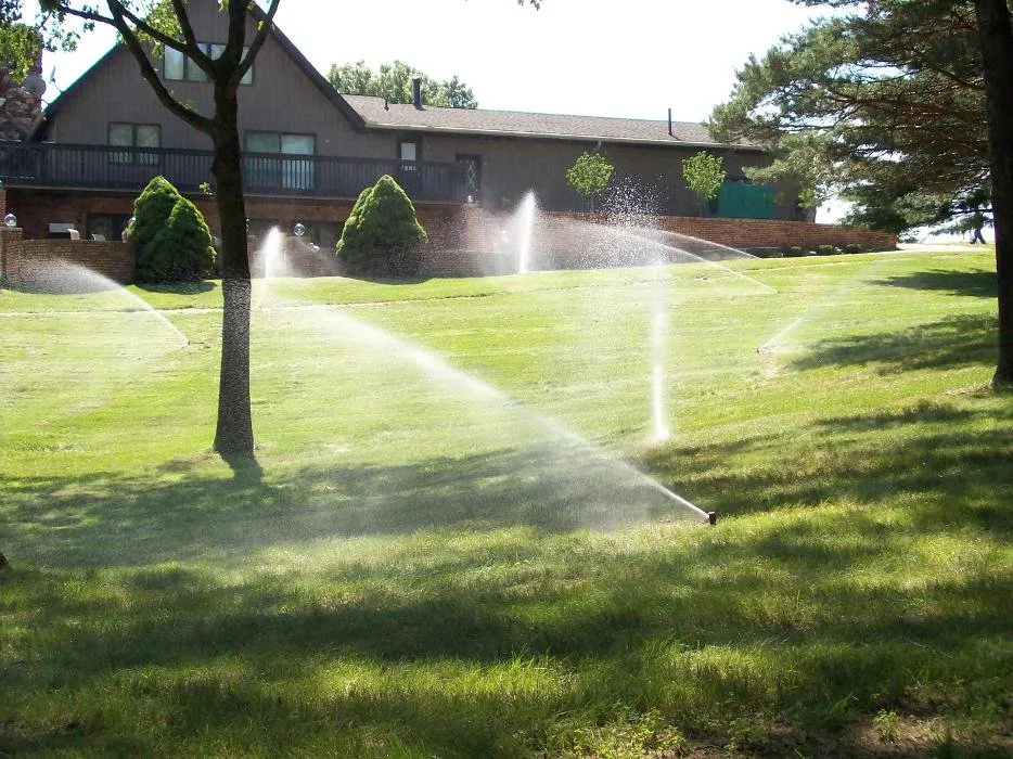 Expert yard cleanup service experts serving Clarkston, MI - Progressive Irrigation