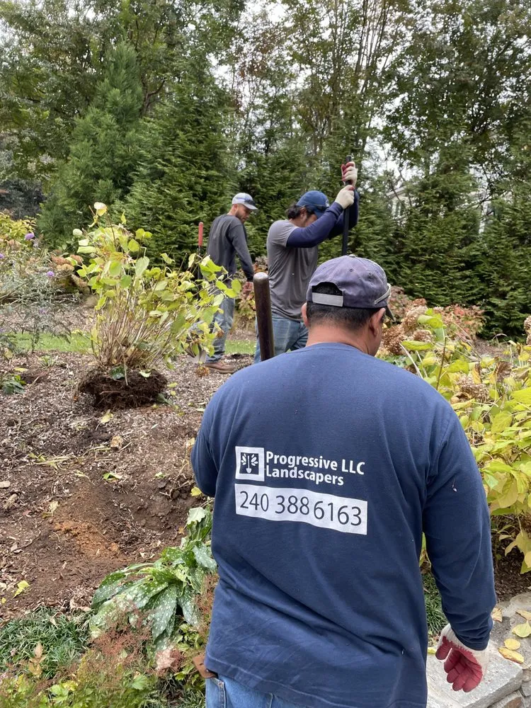 Local landscape installation experts serving Poolesville, MD - Progressive Landscaper