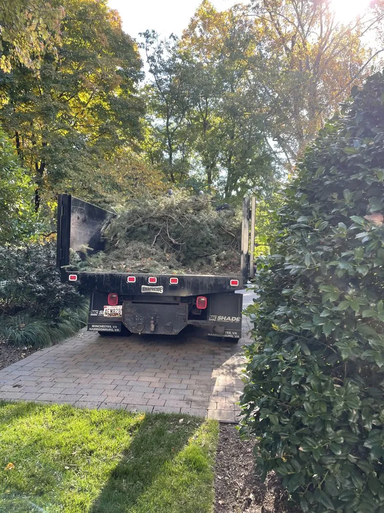 Custom lawn mowing service for year-round maintenance across Poolesville, MD - Progressive Landscaper