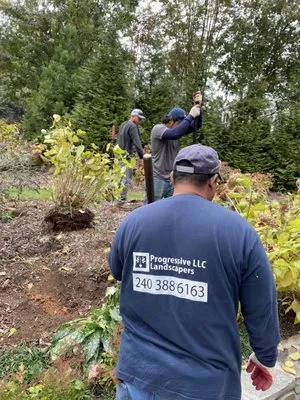Progressive Landscaper