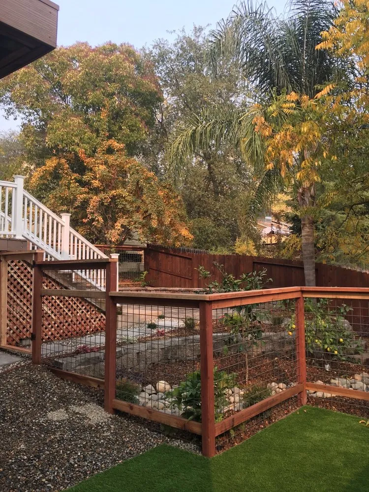 Custom yard cleanup service for beautiful yards across Folsom, CA - Progressive Landscapes