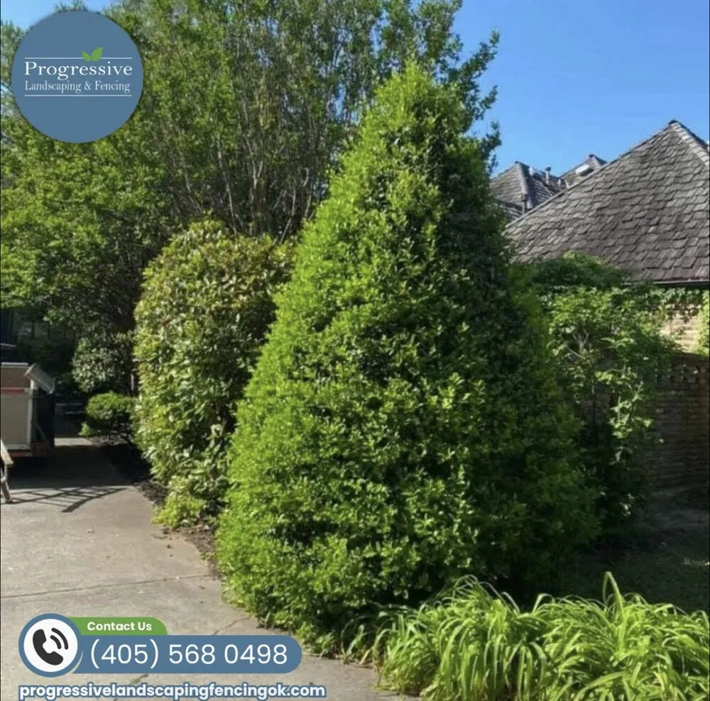 Local garden landscaping in Norman, OK - Progressive Landscaping & Fencing