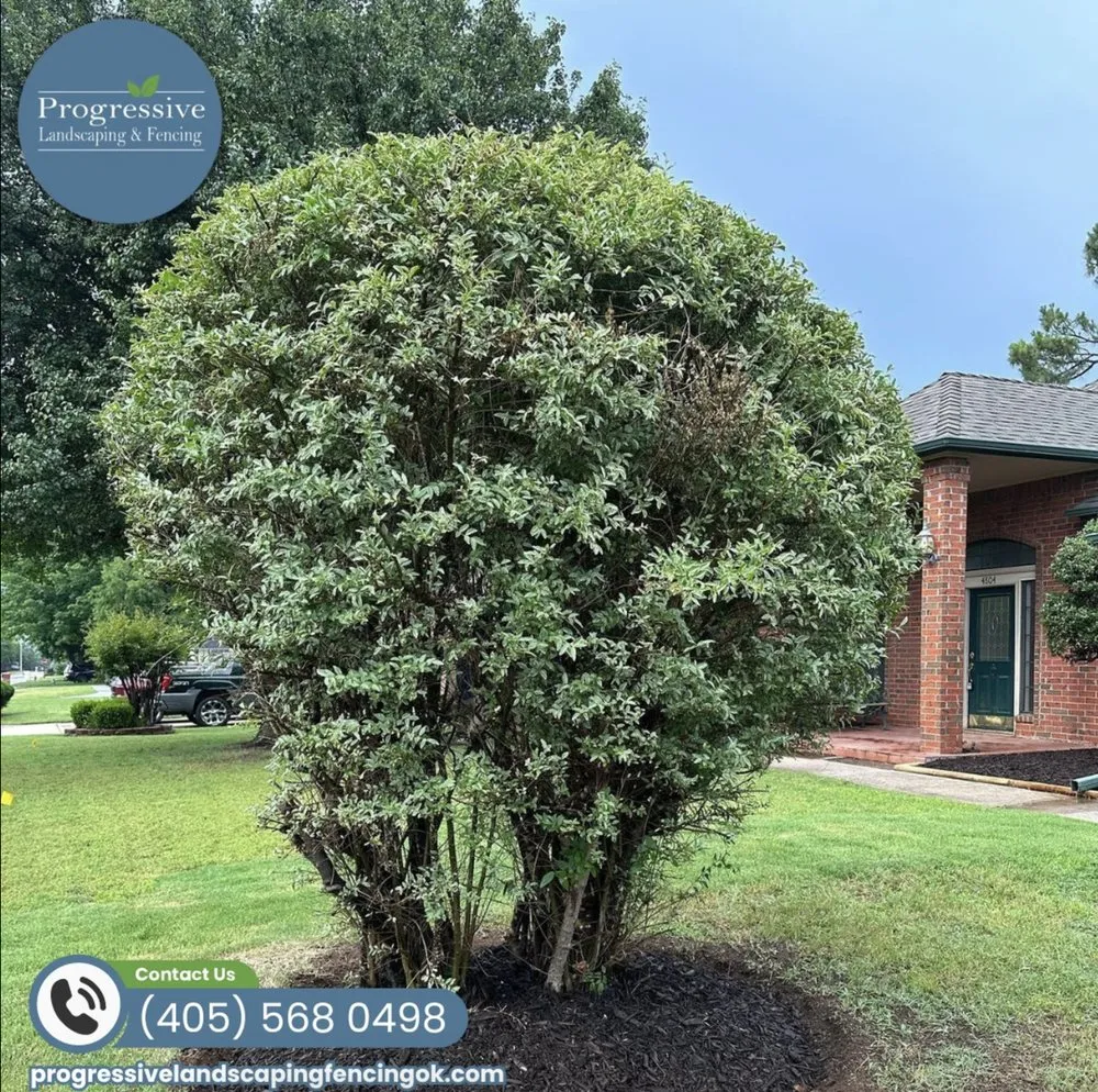 Professional landscaping services experts serving Norman, OK - Progressive Landscaping & Fencing