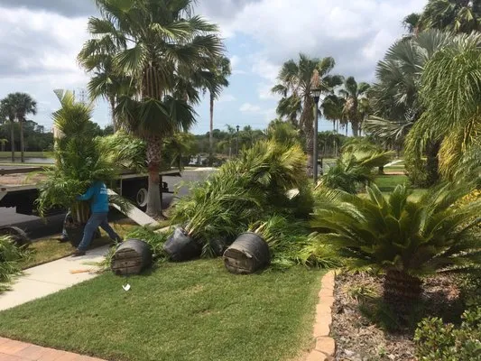 Progressive Lawn & Landscaping