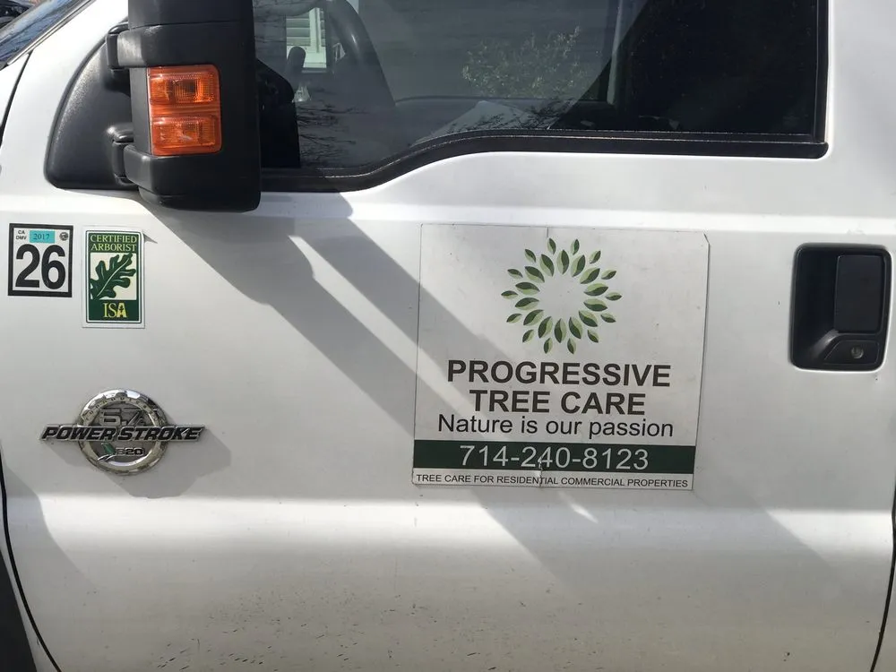 Custom outdoor landscaping for year-round maintenance in San Juan Capistrano, CA by Progressive Tree Care
