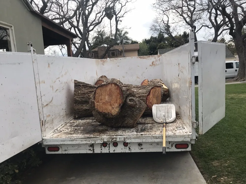 Professional residential landscaping in San Juan Capistrano, CA - Progressive Tree Care
