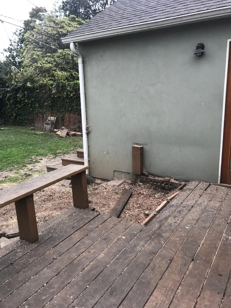 Local yard maintenance in San Juan Capistrano, CA by Progressive Tree Care