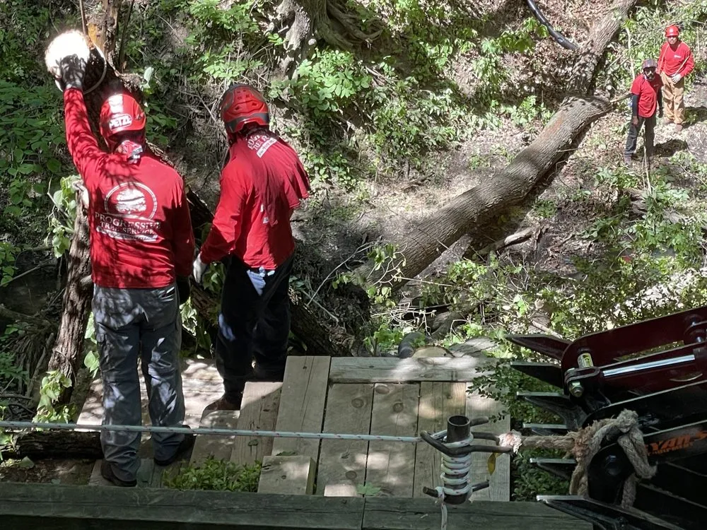 Professional residential landscaping for residential properties in San Juan Capistrano, CA by Progressive Tree Care