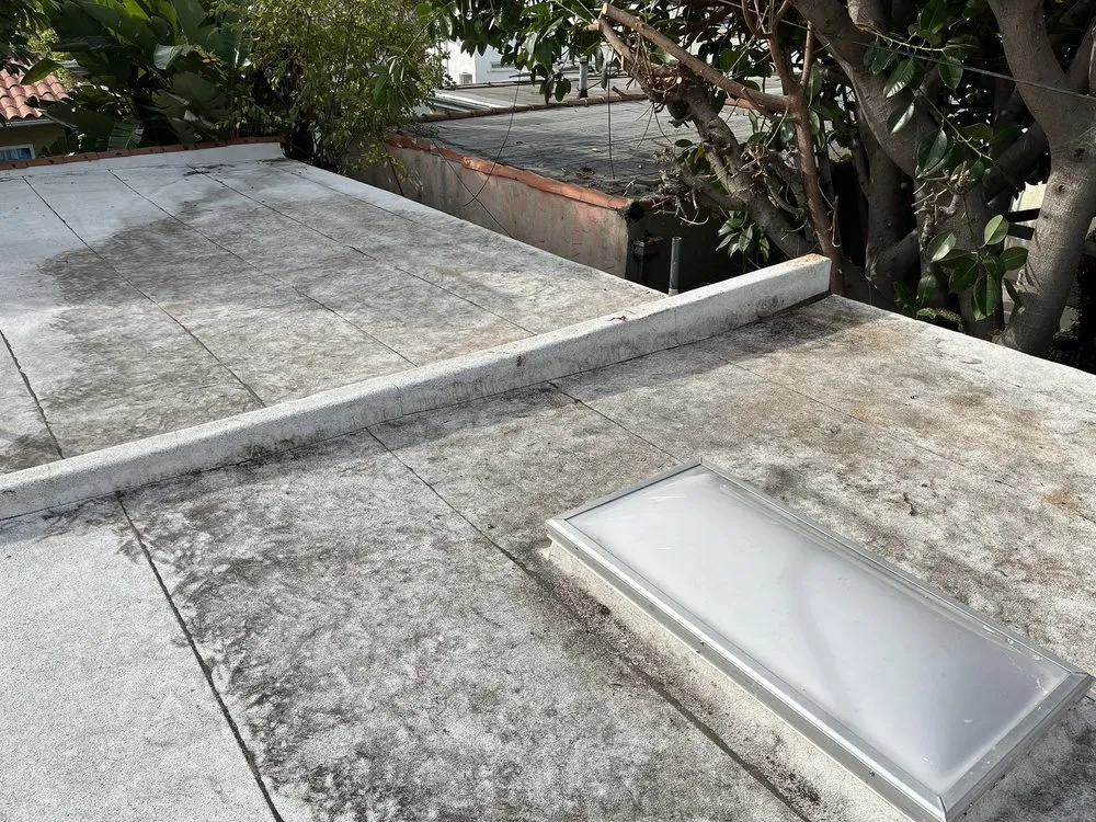 Affordable landscaping services in San Juan Capistrano, CA by Progressive Tree Care