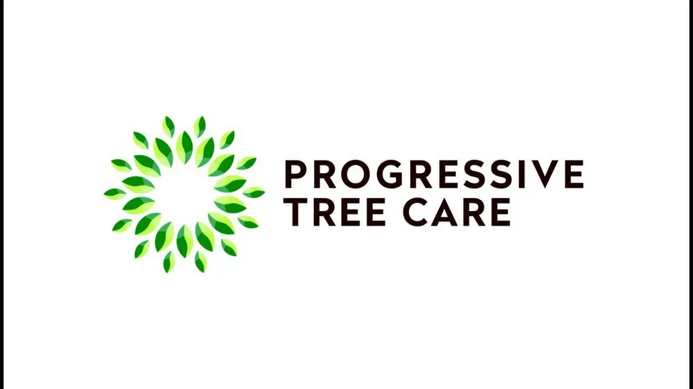 Trusted garden landscaping in San Juan Capistrano, CA - Progressive Tree Care