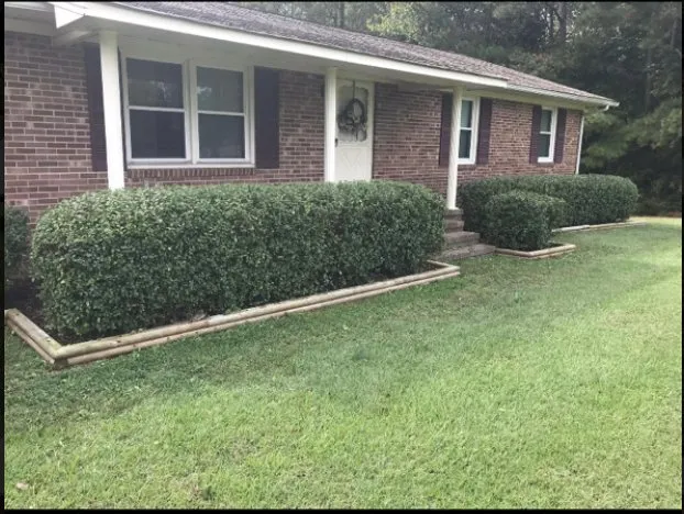 Affordable yard cleanup service experts serving Youngsville, NC - Progro Landcaping