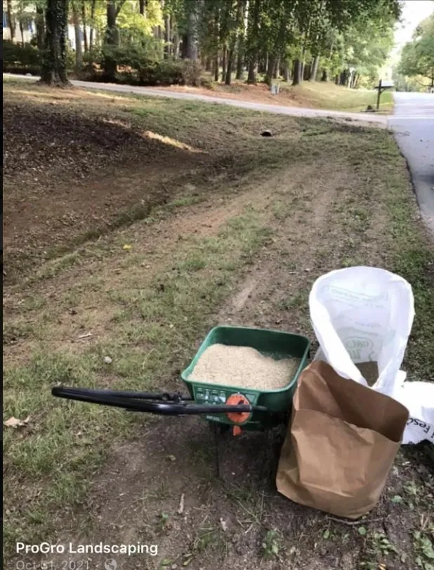 Expert residential landscaping experts serving Youngsville, NC - Progro Landcaping