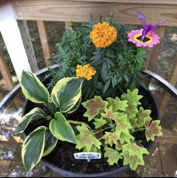 Local garden landscaping experts serving Youngsville, NC - Progro Landcaping