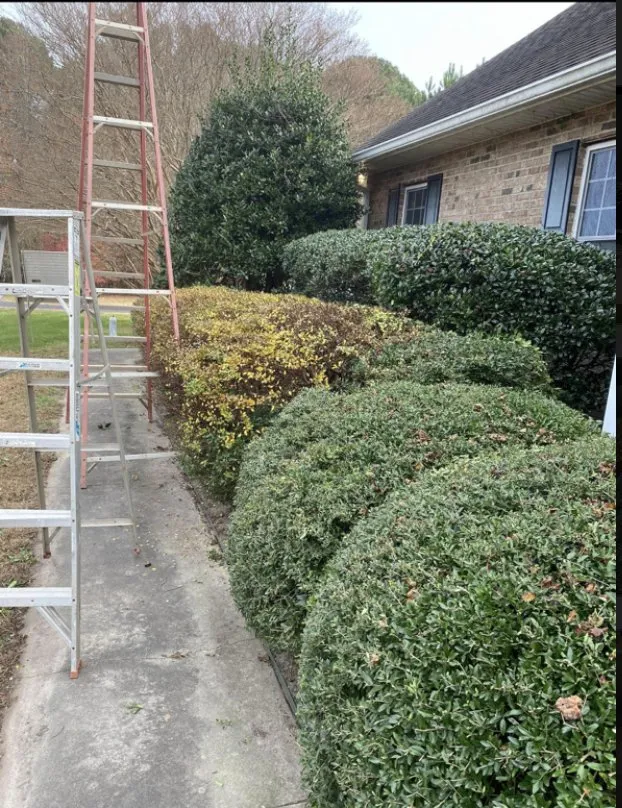 Affordable outdoor landscaping in Youngsville, NC by Progro Landcaping