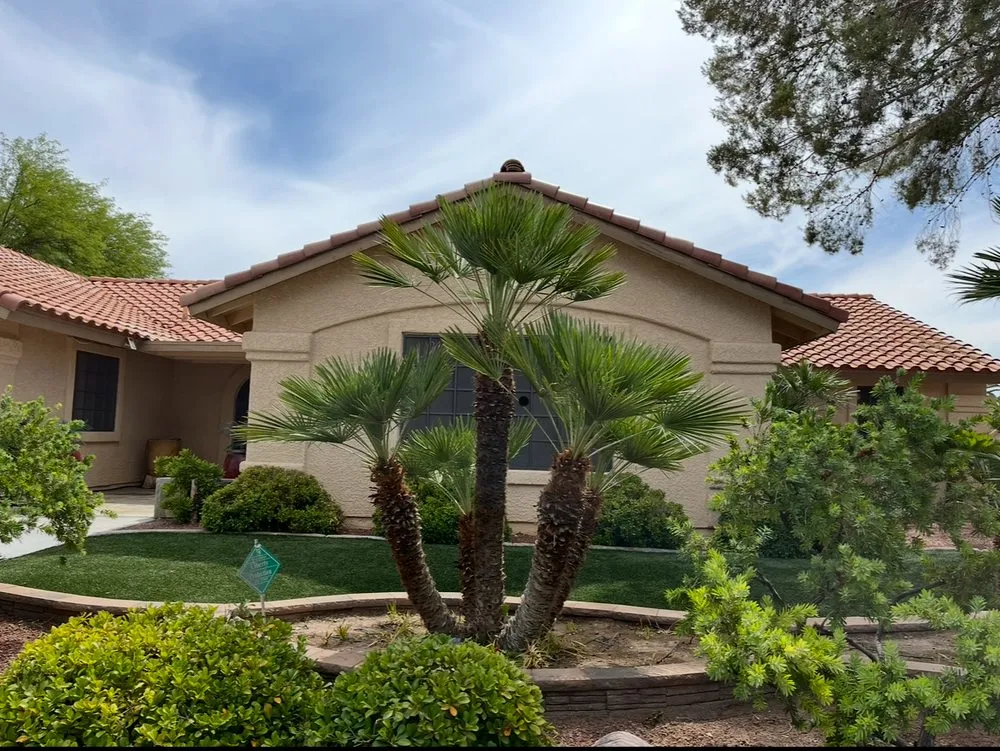 Professional lawn care service in Las Vegas, NV by Progro Landscape