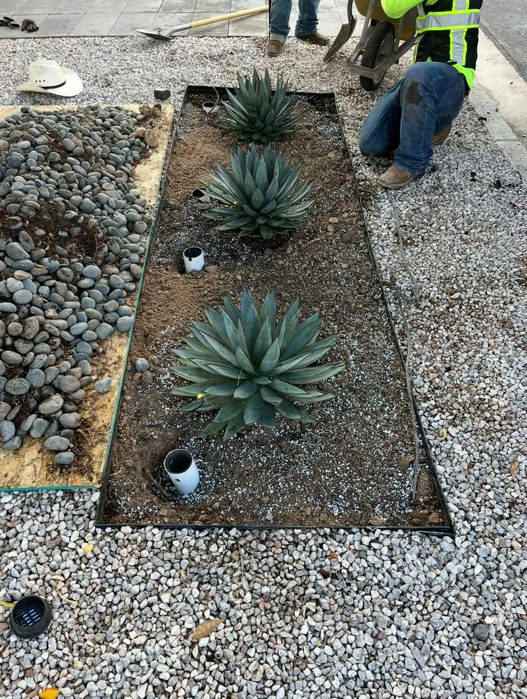 Trusted outdoor landscaping experts serving Las Vegas, NV - Progro Landscape