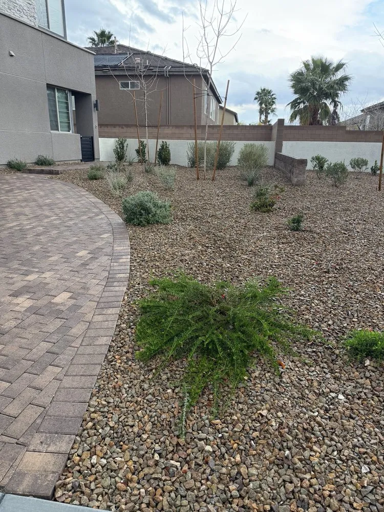 Affordable landscape design experts serving Las Vegas, NV - Progro Landscape