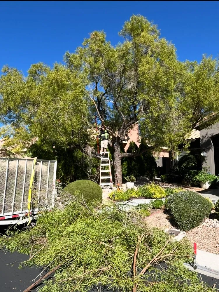 Professional outdoor landscaping for residential properties in Las Vegas, NV by Progro Landscape