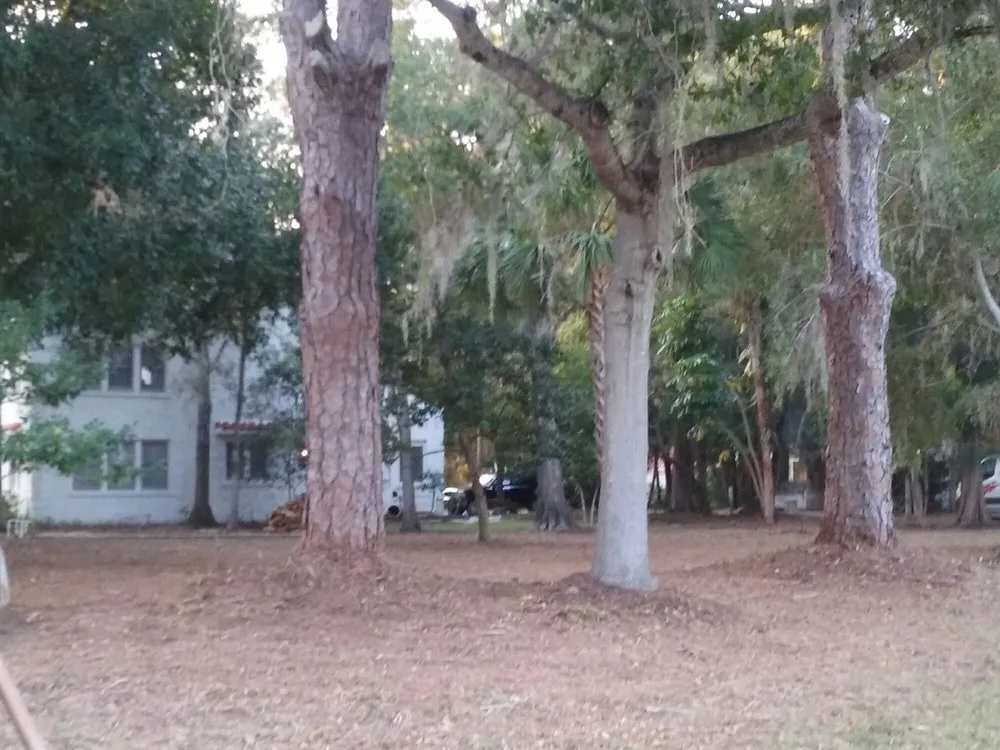 Expert residential landscaping with custom design across Saint Petersburg, FL - ProGro Lawns and Landscapes