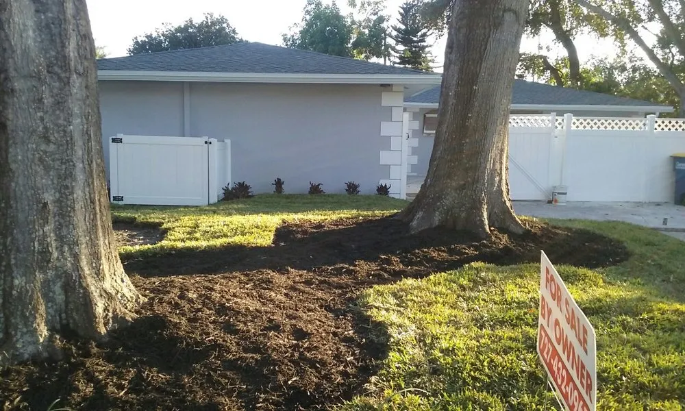 Local yard maintenance in Saint Petersburg, FL - ProGro Lawns and Landscapes