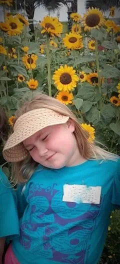 Custom outdoor landscaping for homes in Saint Petersburg, FL by ProGro Lawns and Landscapes