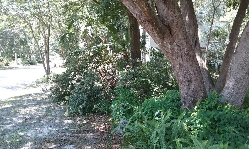 Top-rated landscape design with custom design across Saint Petersburg, FL - ProGro Lawns and Landscapes