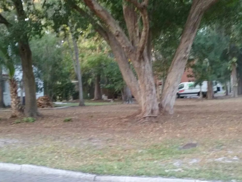 Reliable lawn mowing service experts serving Saint Petersburg, FL - ProGro Lawns and Landscapes