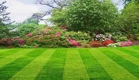 Reliable landscaping services in Bentonville, AR - ProGro Lawns