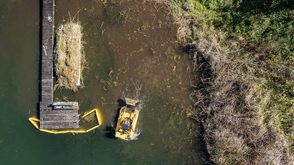 Reliable lawn care service for homes across Orlando, FL - Project 7 Services