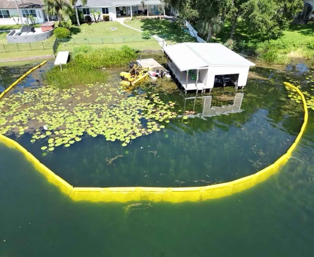 Local yard cleanup service experts serving Orlando, FL - Project 7 Services