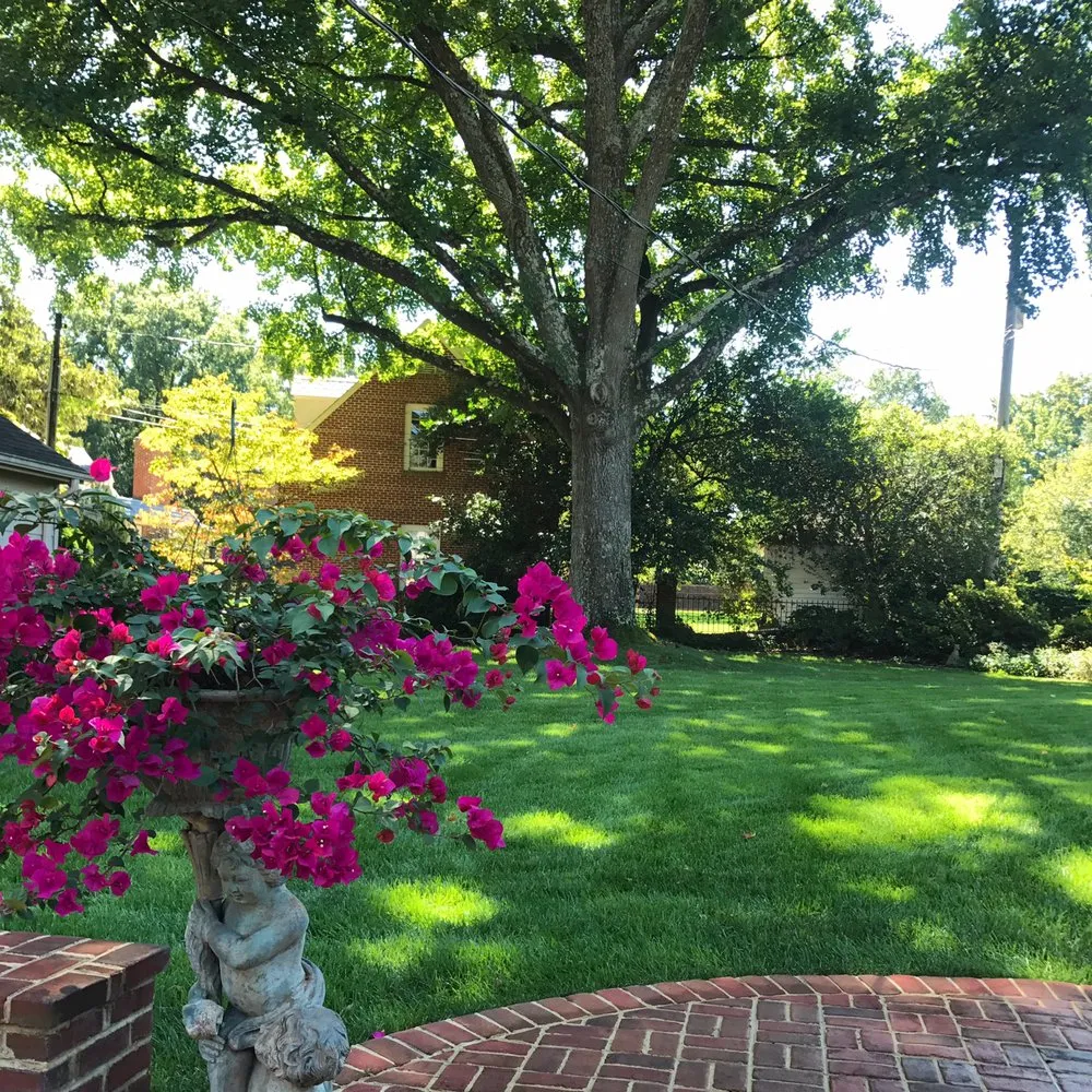 Professional yard maintenance for beautiful yards in Richmond, VA by Project Green
