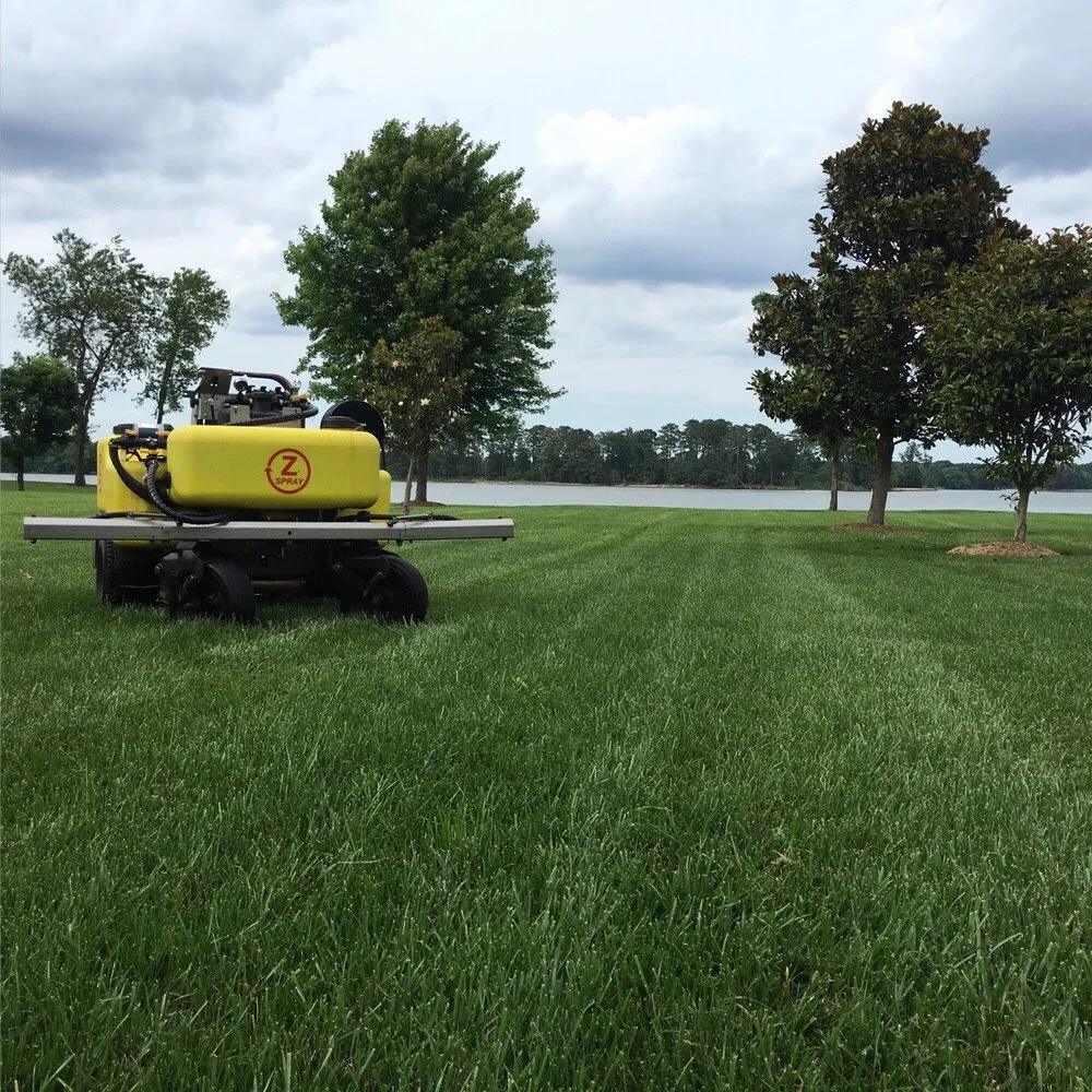 Top-rated landscaping services for outdoor upgrades across Richmond, VA - Project Green