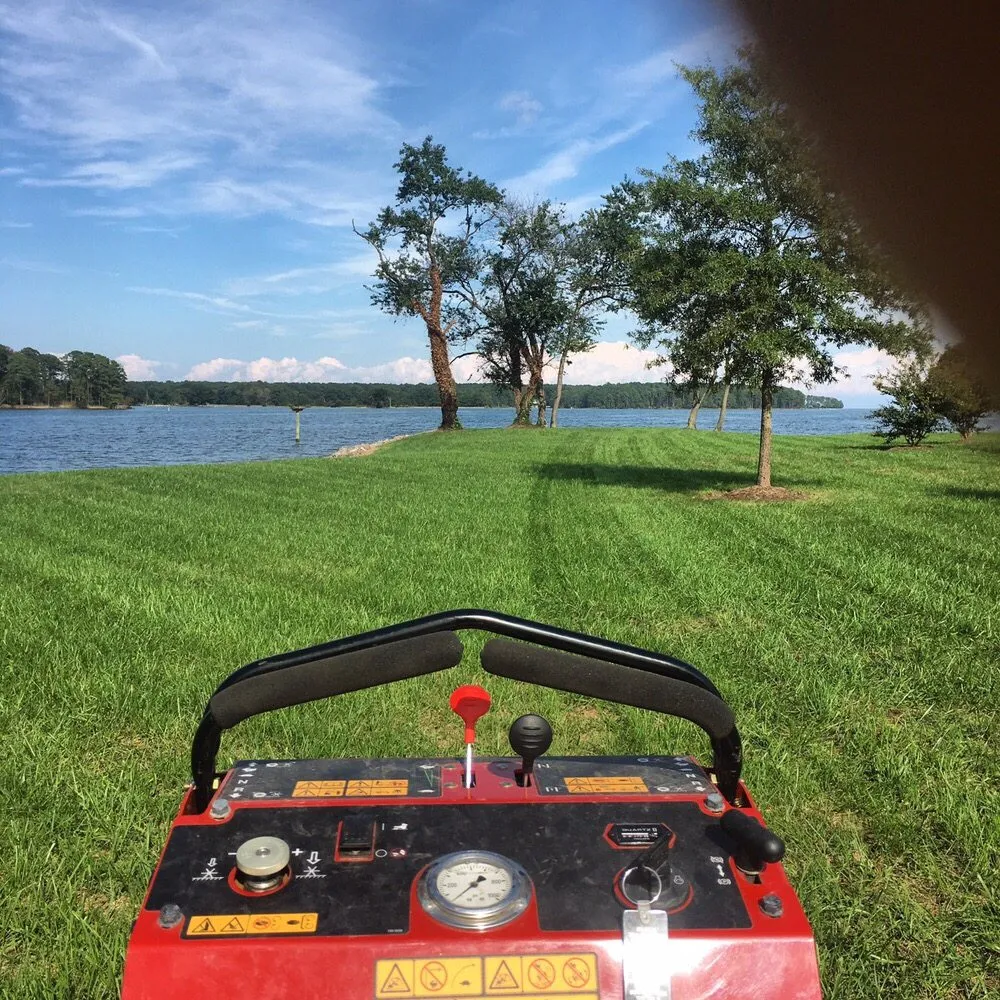 Local landscape installation in Richmond, VA - Project Green