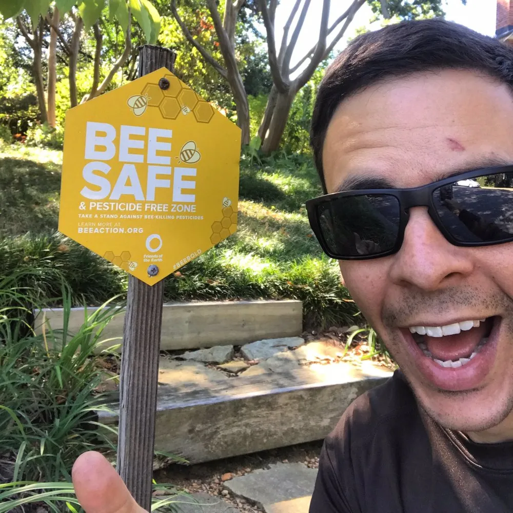 Local yard cleanup service near you across Richmond, VA - Project Green