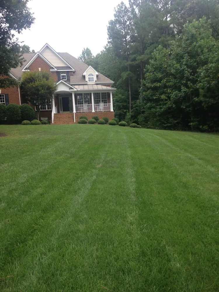 Custom yard cleanup service for beautiful yards across Richmond, VA - Project Green