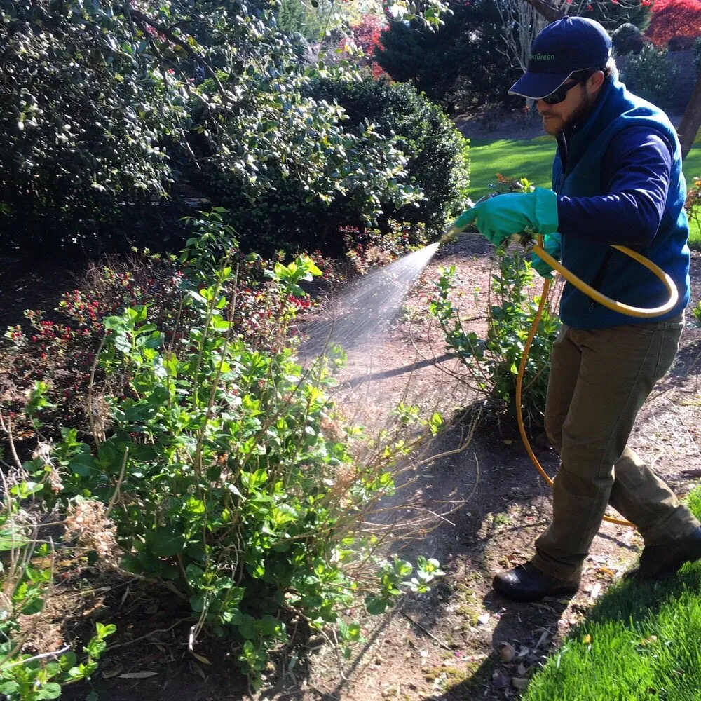Local yard cleanup service in Richmond, VA by Project Green