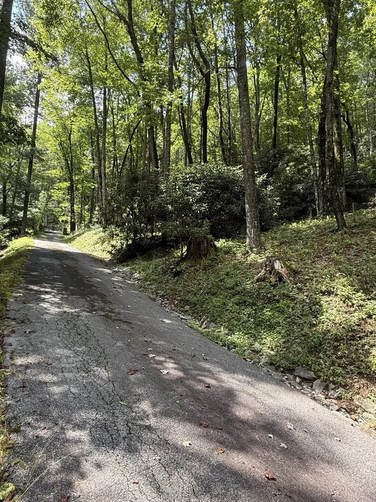 Custom garden landscaping for outdoor upgrades in Sylva, NC by Project Lawn Care