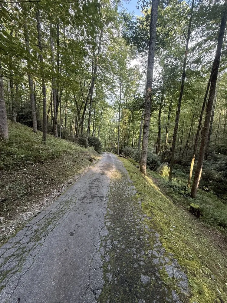 Professional yard maintenance for residential properties in Sylva, NC by Project Lawn Care